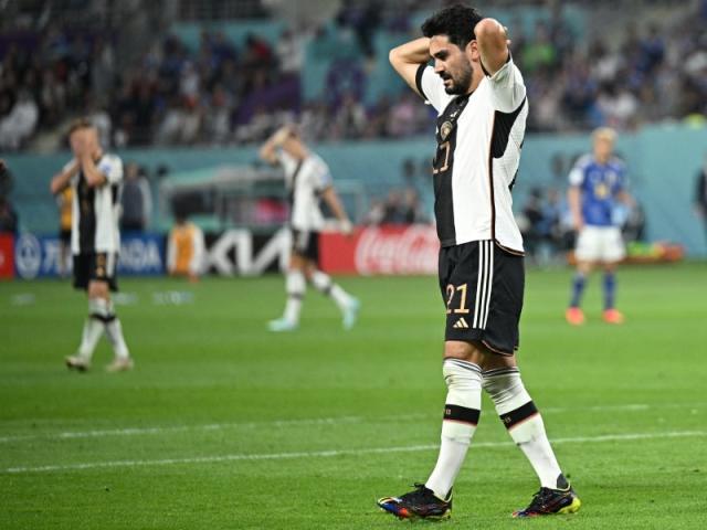 1669232145955029635.jpg 1669232145955029635.jpg